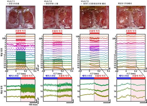 연구팀이 개발한 전자패치를 쥐의 대뇌에 적용해 측정한 결과