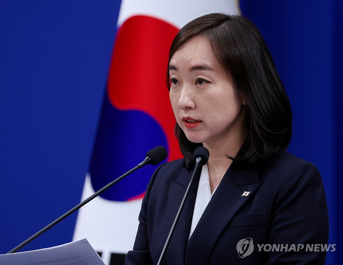 전은수 대변인, 비상경제 현안점검회의 관련 브리핑